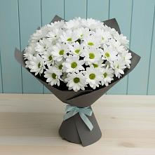 Букет цветов из:  Хризантемы #REPLACE_PRED# Махновке