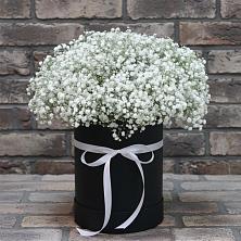 Цветочная композиция из Гипсофила в шляпной коробке в Махновке