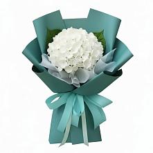Букет цветов из:  Гортензия в Махновке